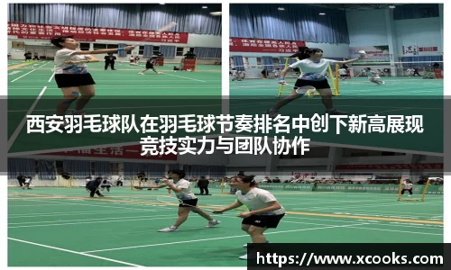 DB旗舰官网