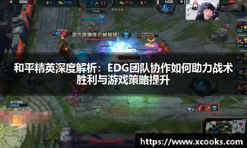 DB旗舰APP